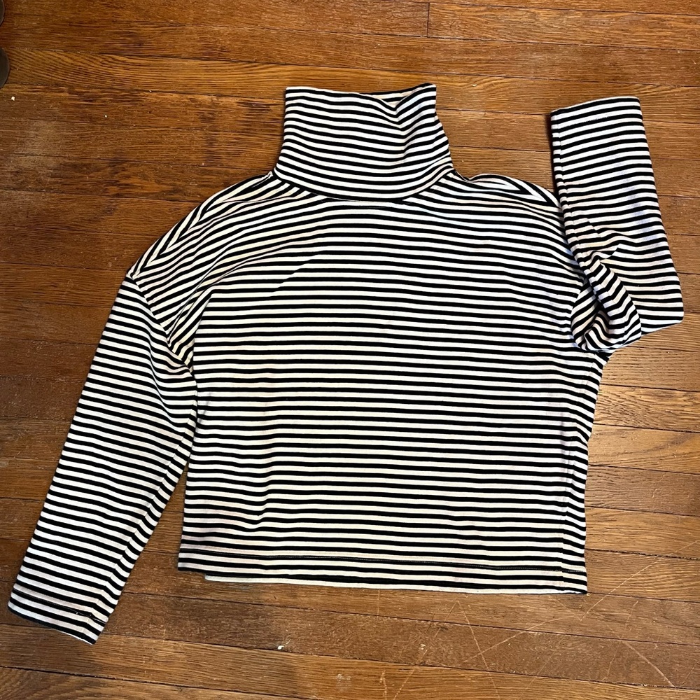 Striped Black and White Turtleneck Top